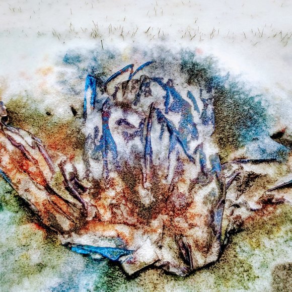 Meet your Posher - Picture 13 of 14